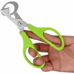 LITZEE 2 Pièces Caille Ciseaux, Ciseaux De Coupe De Coquille D'Oeuf, Ciseaux Coquilles D'Oeufs De Caille En Acier Inoxydable, Pour Couper Les Œufs, Les Œufs De Caille Et Autres Œufs -Accessoires de barbecue Soldes 51550819 4