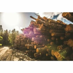 Traeger Pellets Pour Barbecue Apple - Sac De 9 Kg - 100% Naturel -Accessoires de barbecue Soldes 54150746 3