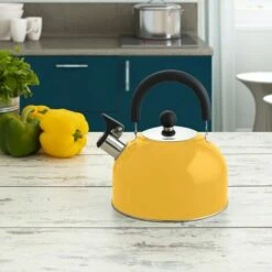 BRICOMARTEAU Bouilloire Quid Acier Inoxydable (2 L) -Accessoires de barbecue Soldes 66004247 5